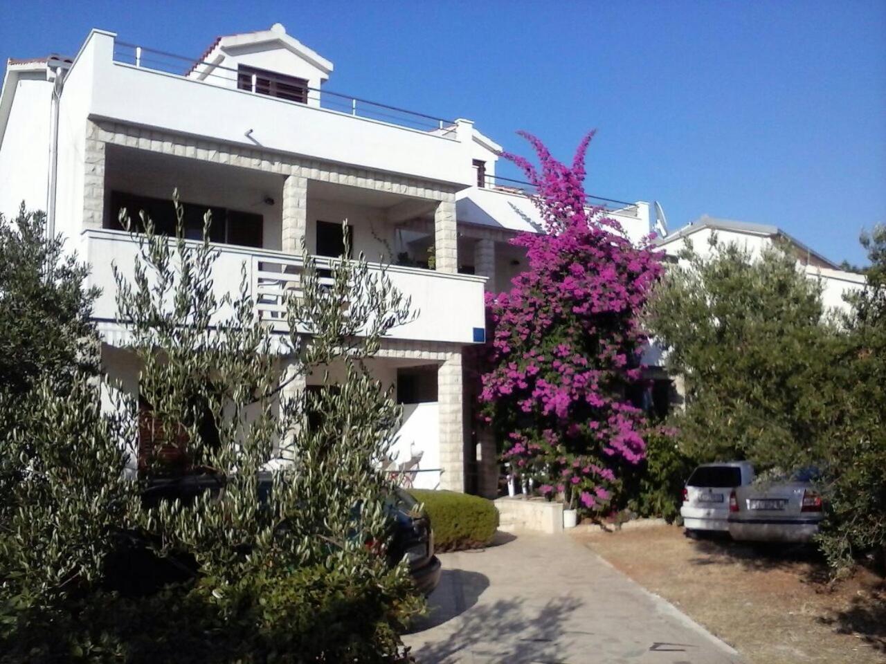 Bugenvila Rogoznica (Sibenik-Knin)