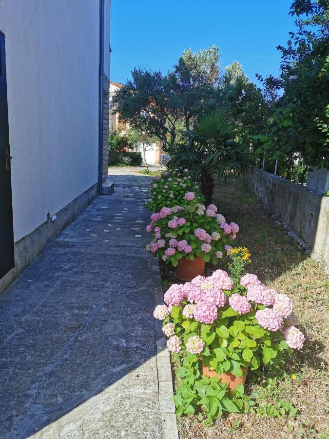 Bugenvila Rogoznica (Sibenik-Knin)